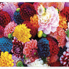 Masterpieces Puzzle Brilliance Collection Beautiful Blooms Puzzle 550 pieces