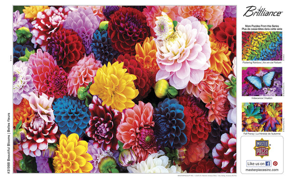 Masterpieces Puzzle Brilliance Collection Beautiful Blooms Puzzle 550 pieces