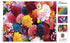 products/masterpieces-puzzle-brilliance-collection-beautiful-blooms-puzzle-550-pieces-81454_b73b8.jpg