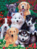 products/masterpieces-puzzle-playful-paws-fluffy-fuzzballs-ez-grip-puzzle-300-pieces-81863_fab99.jpg