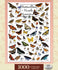 products/masterpieces-puzzle-poster-art-butterflies-of-north-america-puzzle-1-000-pieces-81868_b8248.jpg