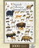 products/masterpieces-puzzle-poster-art-mammals-of-yellowstone-national-park-puzzle-1-000-pieces-81772_15a3d.jpg