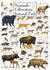 products/masterpieces-puzzle-poster-art-mammals-of-yellowstone-national-park-puzzle-1-000-pieces-81772_370c0.jpg